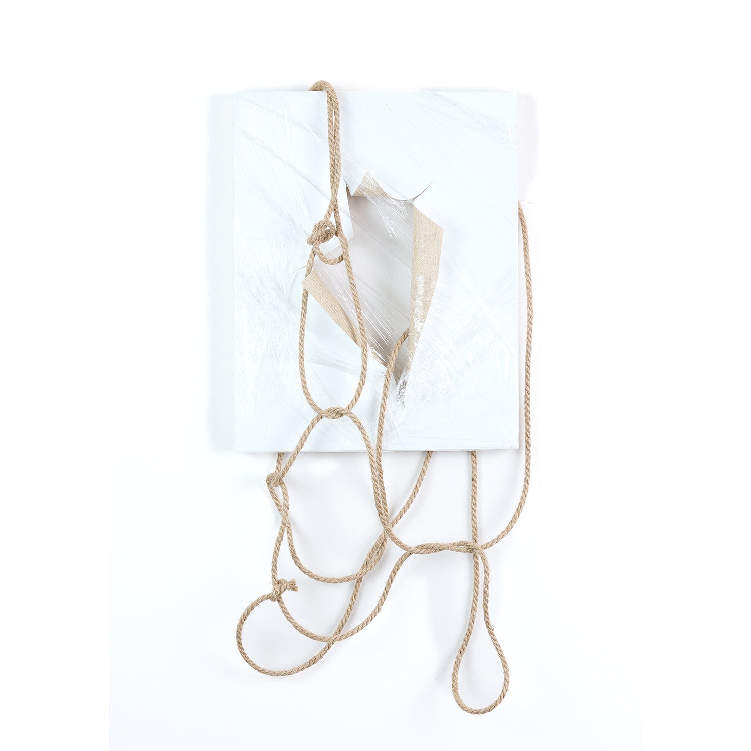 White abstract art piece with rope and mixed media, created by Anne Vandycke.