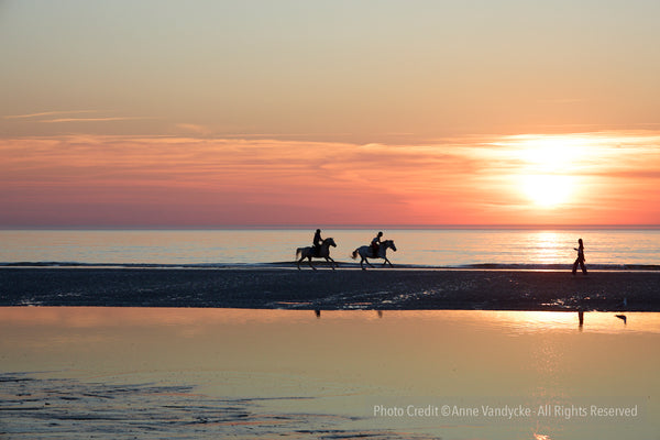 Photo by Anne Vandycke. Two people riding horses on a beach at sunset. Beautiful orange and pink hues. Copyright 2025.