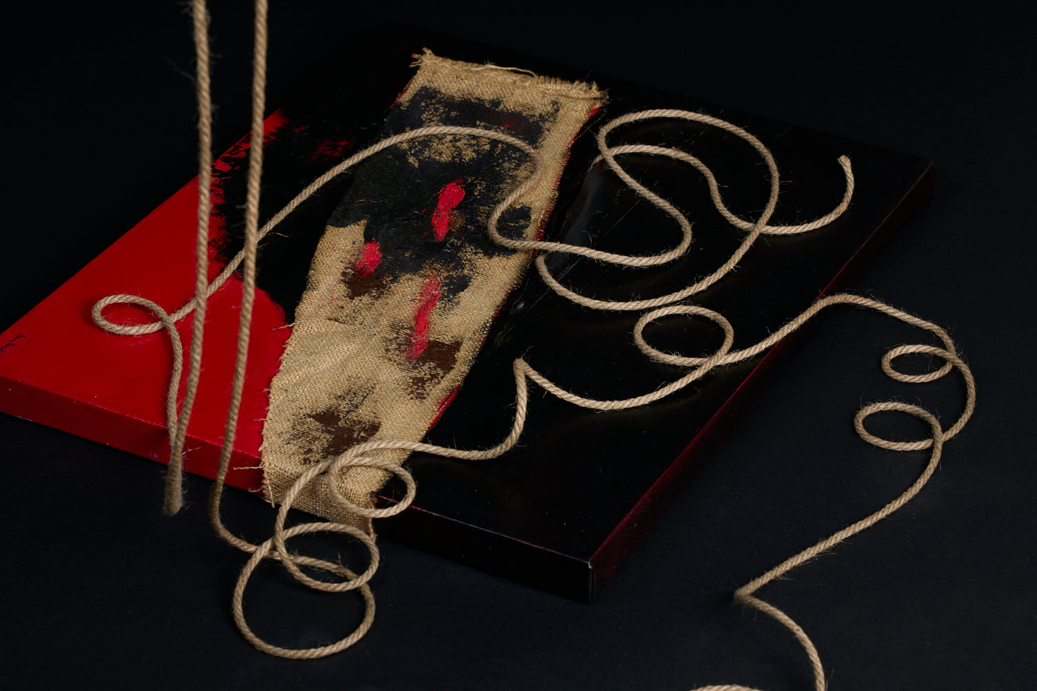 Photo of Resilience art piece by NYC artist, Anne Vandycke. Red and black oil painting with textured material and rope on top.