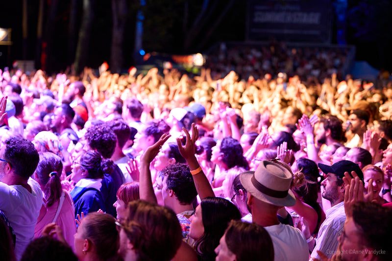 Large crowd at a concert in Central Park. Event photography by New York photographer, Anne Vandycke.
