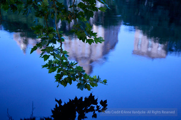 Reflective water surface with a building and tree branches in the foreground. Central Park Photoshoot by Anne Vandycke, NYC photographer.