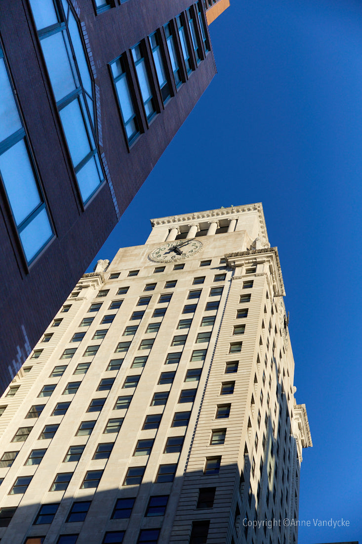 Chasing the Light 3 - Anne Vandycke Photography Print