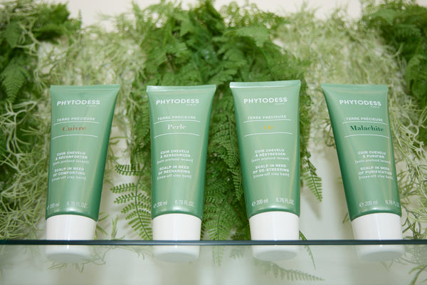Four green skincare products on a glass shelf with a natural background. Photography by Anne Vandycke, New York Photographer.